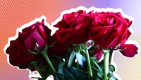 Die Bachelorette 2025: Start, Sendetermine, Stream und aktuelle Infos zur neuen Staffel
