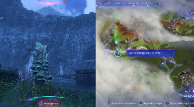 Hier findet ihr den neunten Säbelflügelmotten-Pfad.