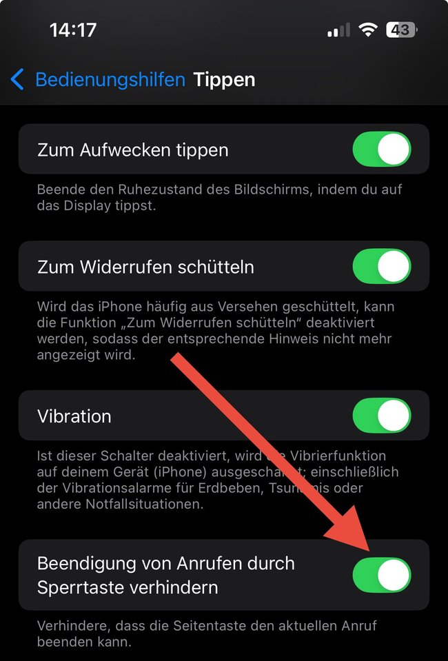 Die Option „Beendigung von Anrufen durch Sperrtaste verhindern“ auf dem iPhone.