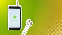 In Duolingo die Sprache ändern – so einfach geht das
