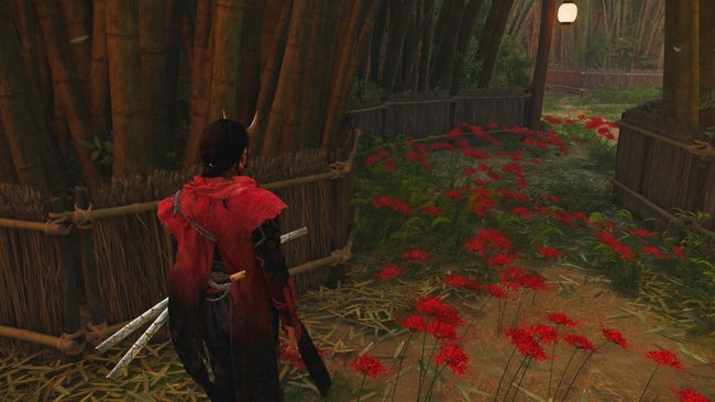 Folgt den Wegen mit roten Blumen am Boden, dann ist der Irrgarten schnell gemeistert.