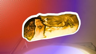 Borderlands 4: Dave den Burrito finden (Guacamole kostet extra)