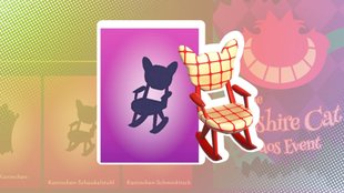 Dreamlight Valley: "Grinsekatzen-Chaos" erklärt und Aufgaben gelöst