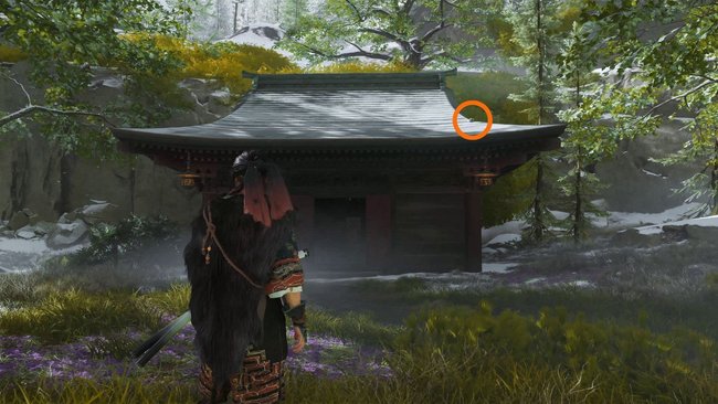 Fundort der "Yoteis Winter"-Maske.