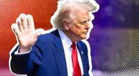 Trump auf dem Holzweg: Das ist der wahre Grund fürs Versagen der US-Autos