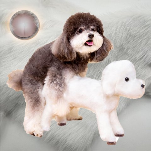 hund sexpuppe Dieser Typ hat seine Sexpuppe geheiratet, wir haben mit ihm gesprochen main image 0