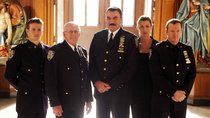 „Blue Bloods“ Staffel 14: Alle Infos zur neuen Staffel