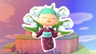 Animal Crossing - New Horizons: 5-Sterne-Bewertung bekommen & K.K. freischalten