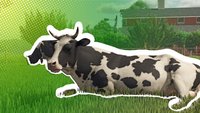 Landwirtschafts-Simulator 25: Tiere füttern, kaufen und züchten