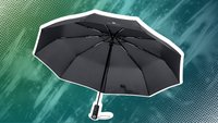 Zum Prime-Day-Preis bei Amazon: Dieser sturmfeste Regenschirm ersetzt alle, die ihr bisher hattet