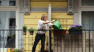 Wie seriös ist nebenan.de? Erfahrungen zum Netzwerk für Nachbarn