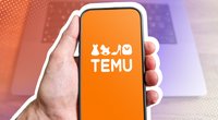 Temu: Zollgebühren & Steuern – Fallen Kosten für die China-Bestellung an?