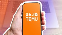 Temu: Zollgebühren & Steuern – Fallen Kosten für die China-Bestellung an?