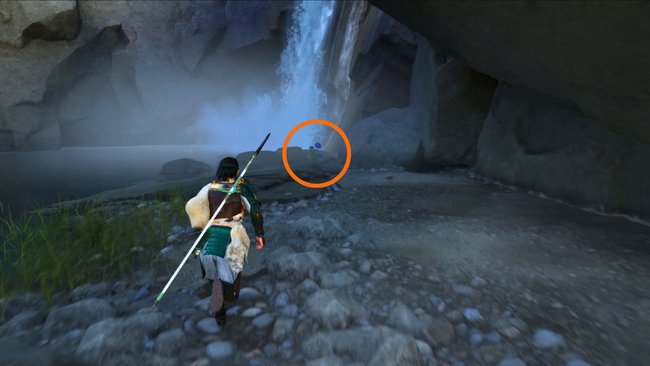 Fundort der ersten blauen Blume.