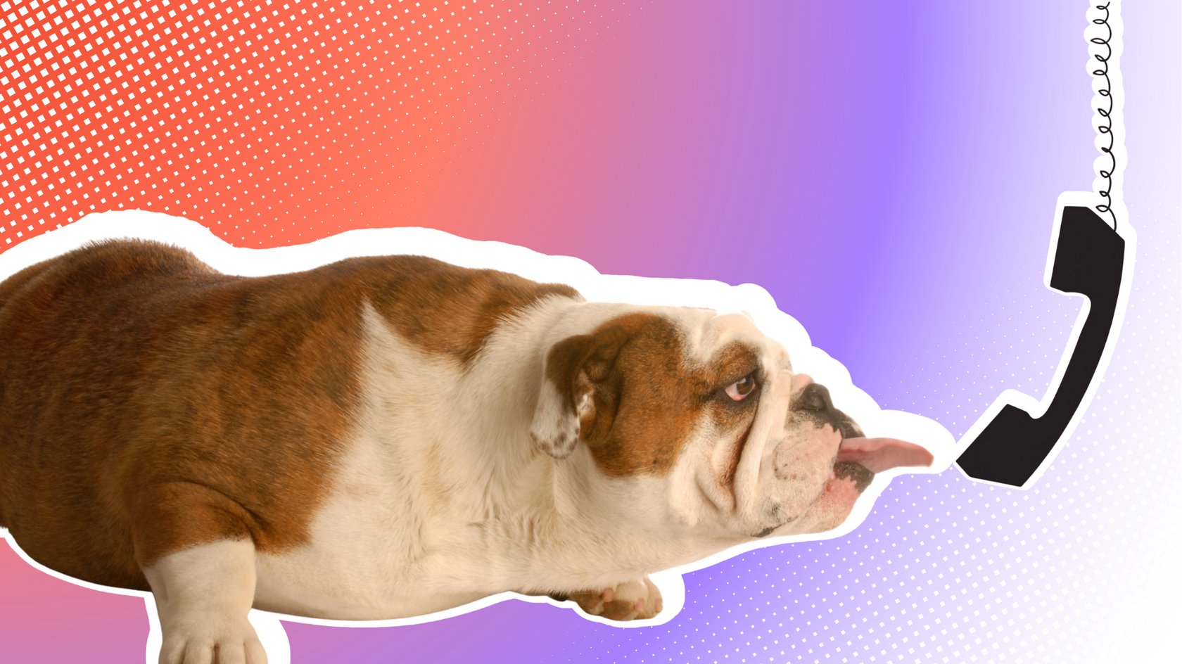 Eine Bulldogge liegt auf dem Boden und streckt seine Zunge zu einem schwarzen Telefonhörer aus, der von oben herabhängt.