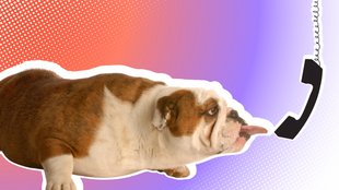 Nummer 015510544039: Die fiese Betrugsmasche, in die täglich neue Opfer tappen