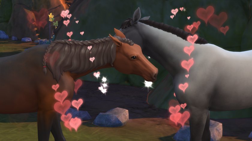Die Liebe liegt in der Luft auf der Pferdefarm.