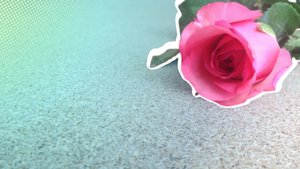 Bei „Hochzeit auf den ersten Blick 2026“ bewerben: So gehts