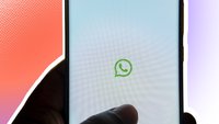 Cache in WhatsApp entfernen: Android, iPhone/iPad