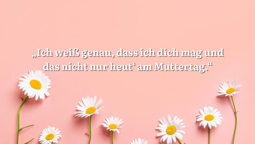 Rosa Hintergrund mit Gänseblümchen und Spruch.