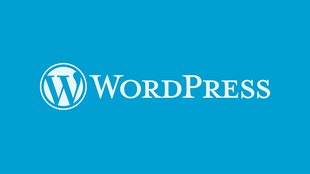 Ein PDF in WordPress einbinden – so funktioniert's kinderleicht