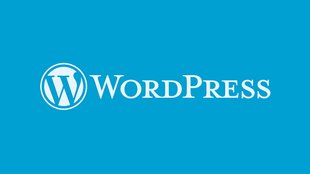 WordPress: Seite duplizieren oder kopieren - so geht's