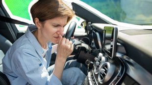 Pilze und Bakterien in der Lüftung: Einfacher Trick verhindert unangenehme Gerüche im Auto
