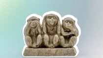 🙊🙉🙈Affen-Emojis in WhatsApp und Co.: Was bedeuten sie?