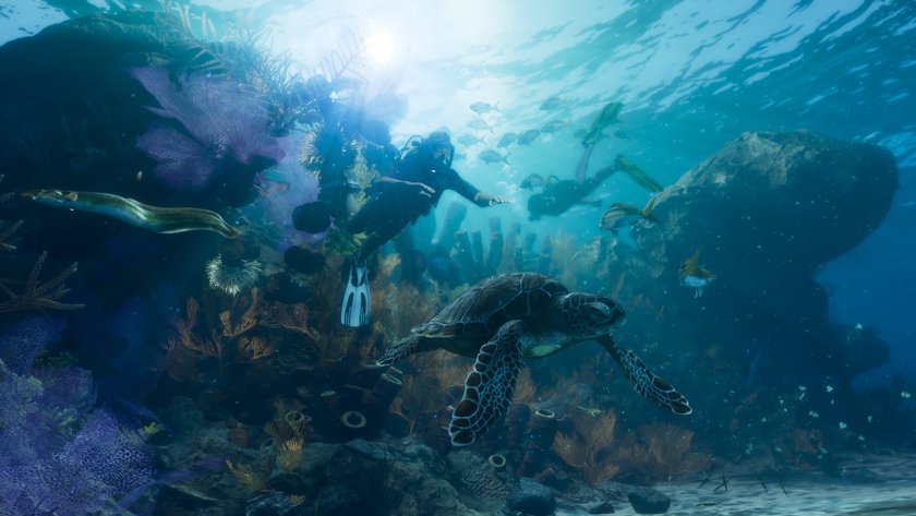 Leinida Keys