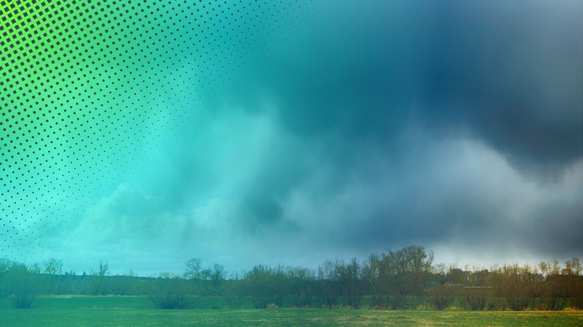 Dunkle, bedrohliche Regenwolken ziehen über eine weite, grüne Wiesenlandschaft. Im Hintergrund sind kahle Büsche und Bäume zu sehen.  