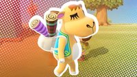 Animal Crossing - New Horizons: Azizas Coupons, Angebote und Trivia