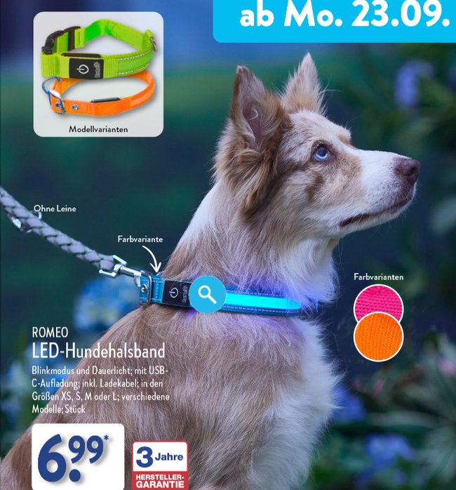 LED-Hundehalsband Aldi Nord Prospekt