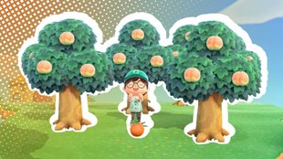 Animal Crossing New Horizons: Alle Früchte ernten, tauschen & Sternis verdienen