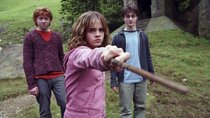 Harry Potter ganz neu: Fans müssen sich auf große Änderung einstellen