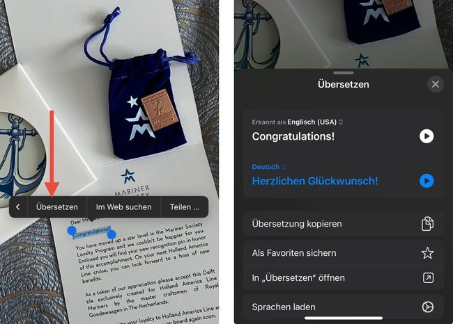 Die Bilderübersetzung im iPhone.