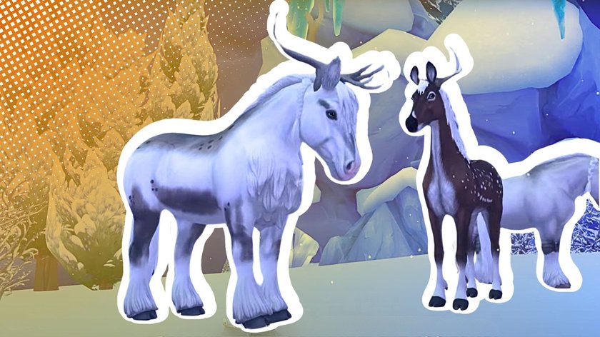 Neue Pferde im Dezember 2024 in Star Stable