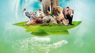 Zoo-Simulator für den Küchentisch: Eines der besten Brettspiele mit 31 % Rabatt bei Amazon