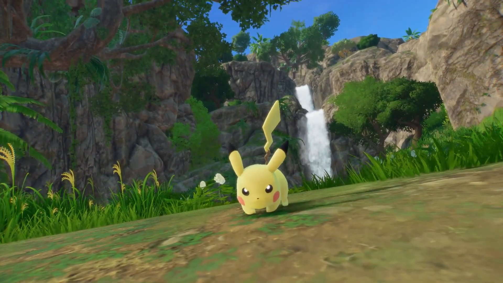 Screenshot from Pok&eacute;mon Wind and Pok&eacute;mon Wave