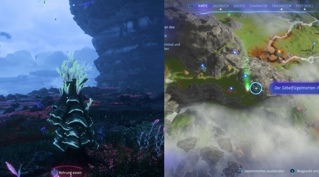 Hier findet ihr den achten Säbelflügelmotten-Pfad.