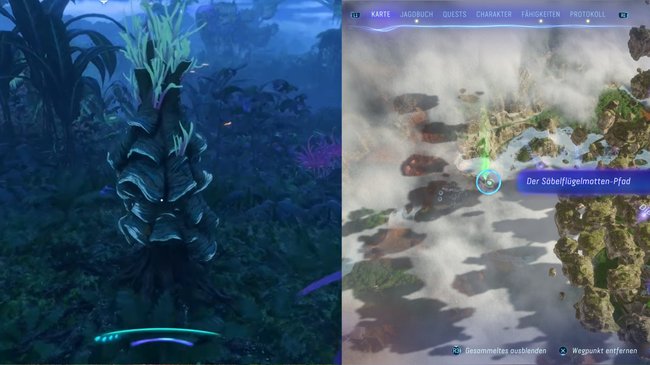 Hier findet ihr den vierten Säbelflügelmotten-Pfad.