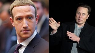 Facebook-Chef gegen Tesla-Boss: Zuckerberg will sich mit Musk prügeln – der akzeptiert