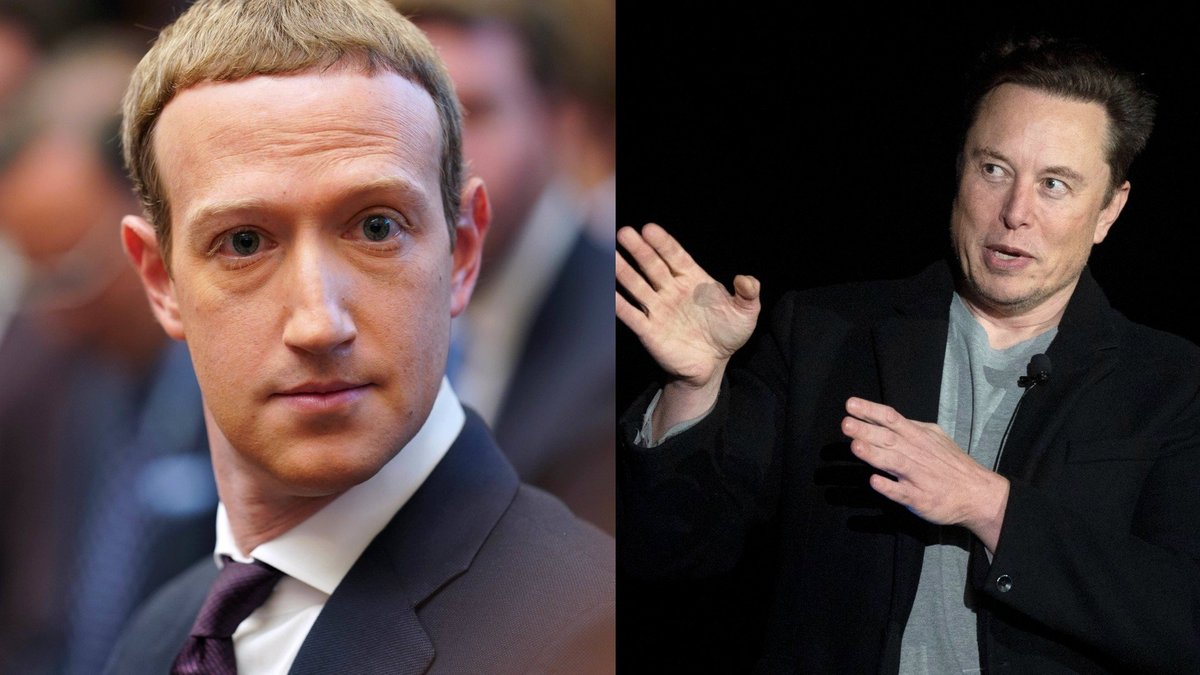 Facebook-Chef gegen Tesla-Boss: Zuckerberg will sich mit Musk prügeln – der akzeptiert