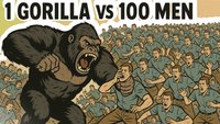 100 Männer gegen 1 Gorilla: Wer würde gewinnen?