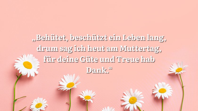 Rosa Hintergrund mit Gänseblümchen und Spruch.