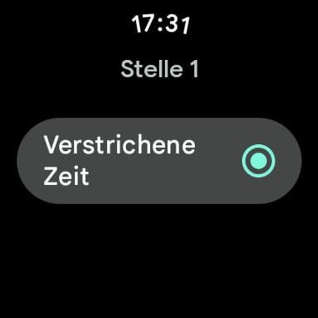 Pixel Watch 2 Screenshot