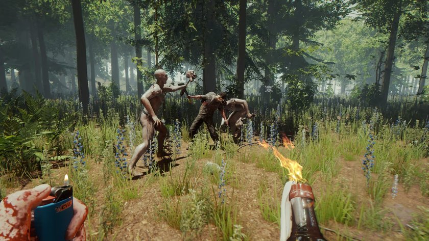 Ausschnitt aus The Forest