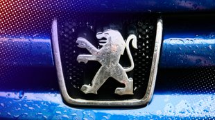 Nach regnerischem Sommer: Rückruf für Transporter von Peugeot und Citroën wegen Korrosionsgefahr