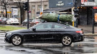 ADAC klärt auf: Diese Fehler beim Weihnachtsbaumkauf dürft ihr auf keinen Fall machen