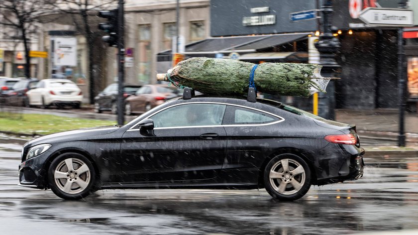 Vor dem Schmücken des Christbaums steht der Transport. 