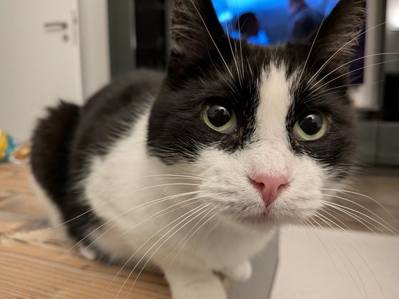 Google Pixel 9a Test Kamera